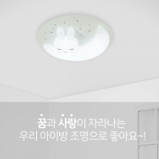 꿈꾸는 토끼 방등 75W (삼색변환+디밍)